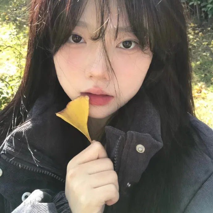 旅行观影者